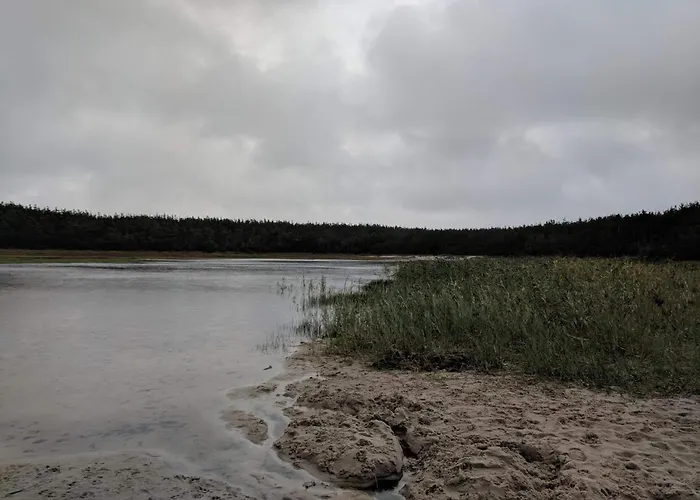 Дом отдыха 10 Person In Ulfborg-by Traum